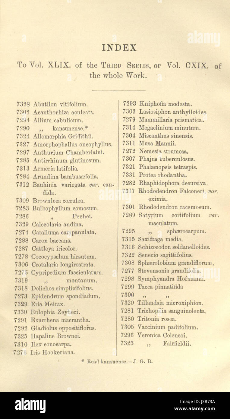 Botanische Illustration aus Curtis's Botanical Magazine, Band 119, Serie 3, Platte 49, veröffentlicht 1893, Darstellung von Pflanzenarten mit detaillierter Kunstfertigkeit. Stockfoto