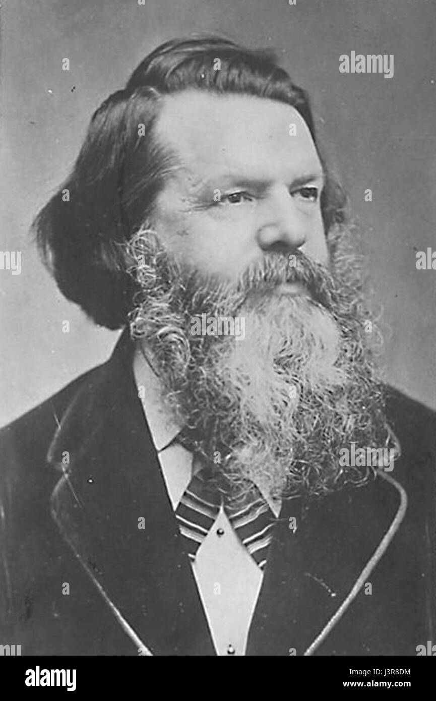 Die James T. Fields Albumen Cropped Photography bezieht sich auf einen Albumenabdruck, ein populäres fotografisches Verfahren im 19. Jahrhundert, mit einem abgeschnittenen Bild von James T. Fields, einer bemerkenswerten Figur in der amerikanischen Literatur und Verlagswesen. Stockfoto