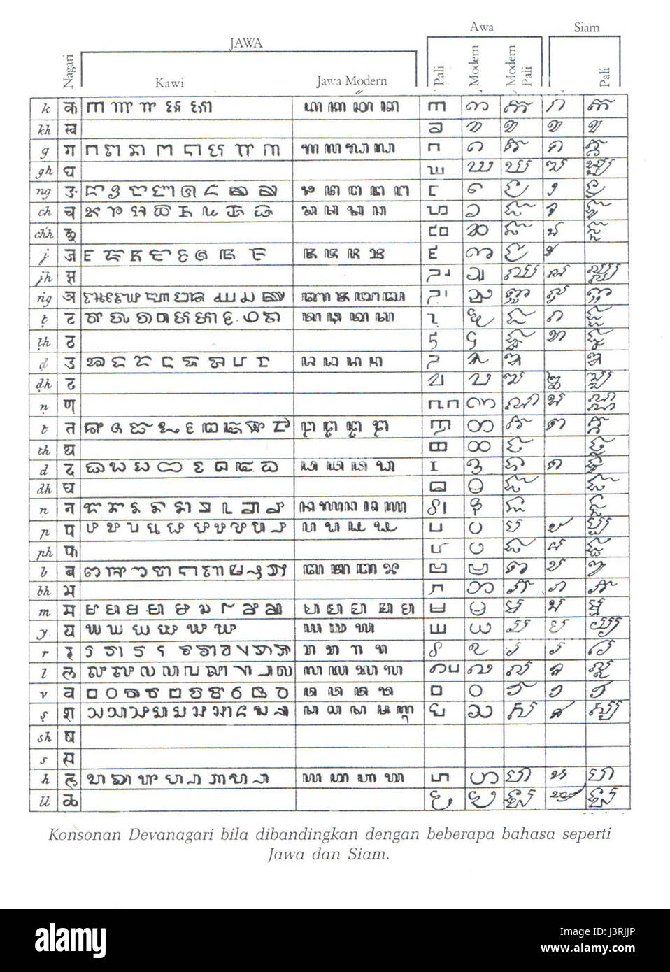 Javanese-Skript ist ein Schreibsystem, das in Java, Indonesien, verwendet wird. Im Vergleich zu anderen Indischen Schriften weist sie besondere Merkmale auf, insbesondere in ihrem Alphabet und ihrer Verwendung für formale und religiöse Texte. Stockfoto