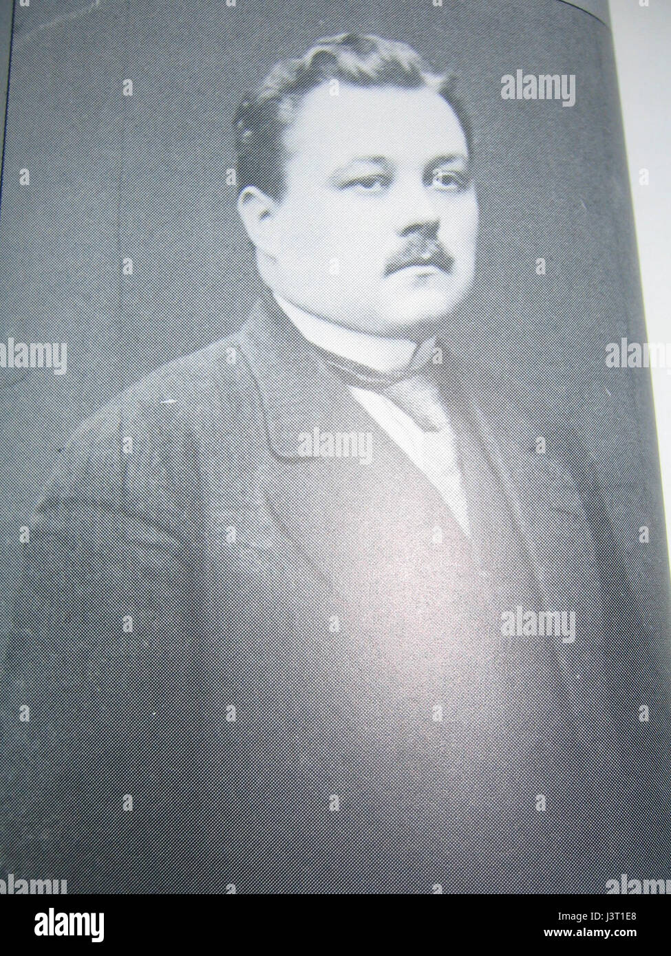 Jussi Lumivuokko Stockfoto