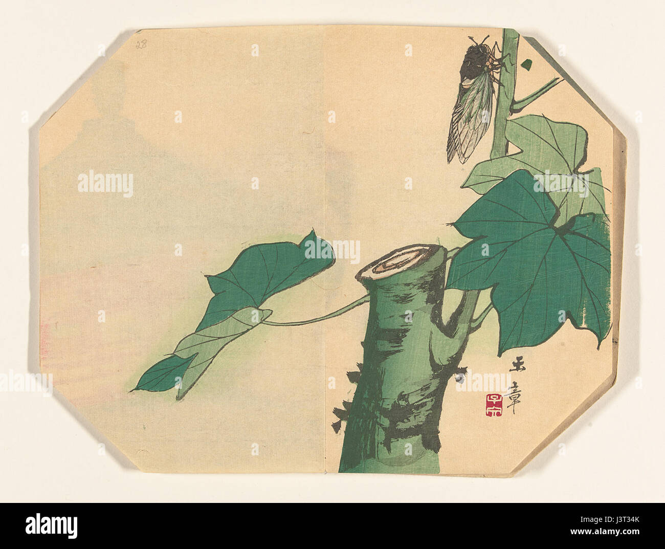 Dieses Bild zeigt ein Insekt auf einem Baumzweig, das in einer Naturgeschichte aufgenommen wurde. Das Werk ist Teil der Sammlung im Rijksmuseum aus dem Jahr 1961, in der Tiere und botanische Beobachtungen gezeigt werden. Stockfoto