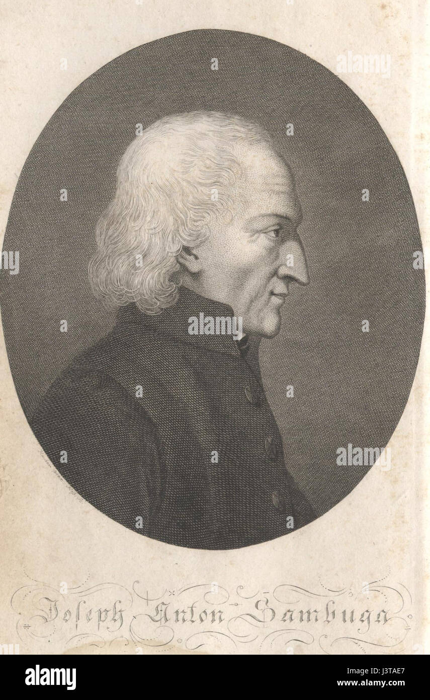 Josef anton Fotos und Bildmaterial in hoher Auflösung Alamy