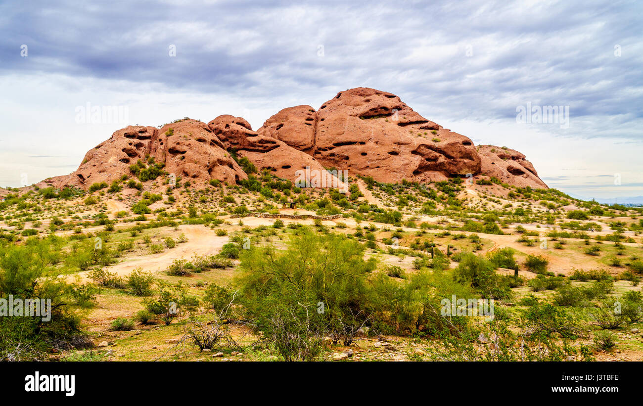 Die aus rotem Sandstein Buttes Papago Park mit seinen zahlreichen Höhlen und Spalten verursacht durch Erosion unter bewölktem Himmel in der Stadt Tempe, Arizona in den USA Stockfoto