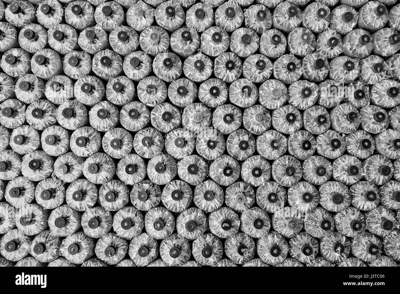 Schwarz / weiß Foto von Pilz Anbau: Anbau von Austernpilzen vom laichen in Hof.    Tiefenschärfe, Hintergrund Stockfoto
