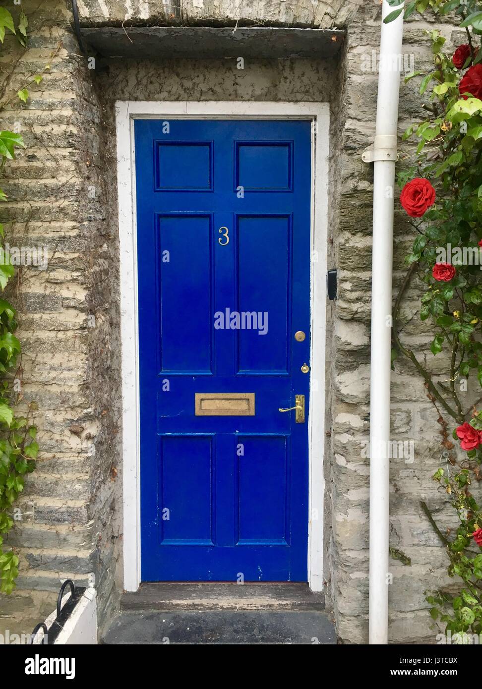 Padstow, Cornwall Stockfoto