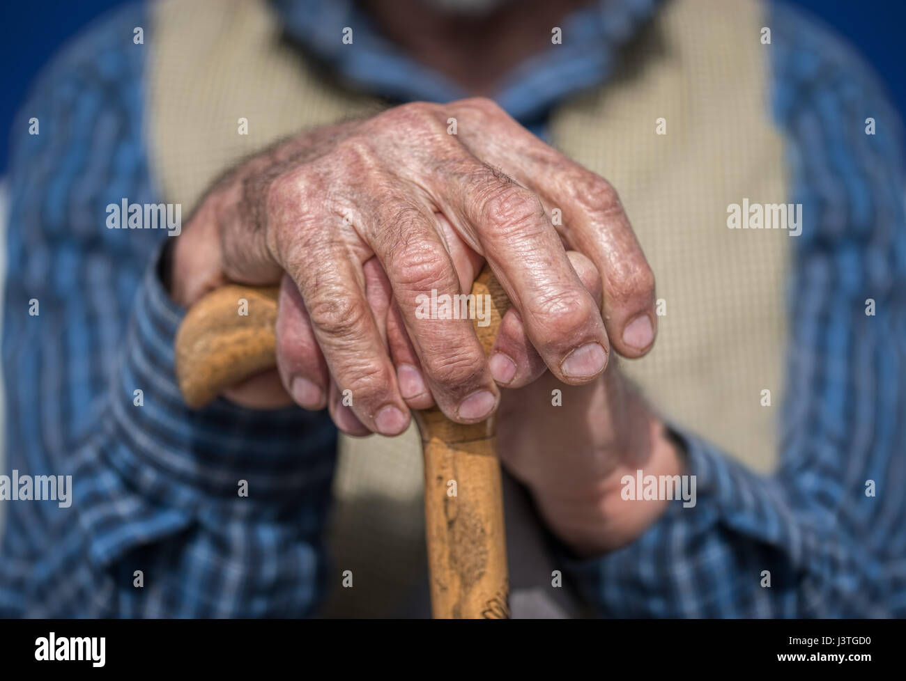 Hand eines alten Mannes hält einen Stock Stockfoto