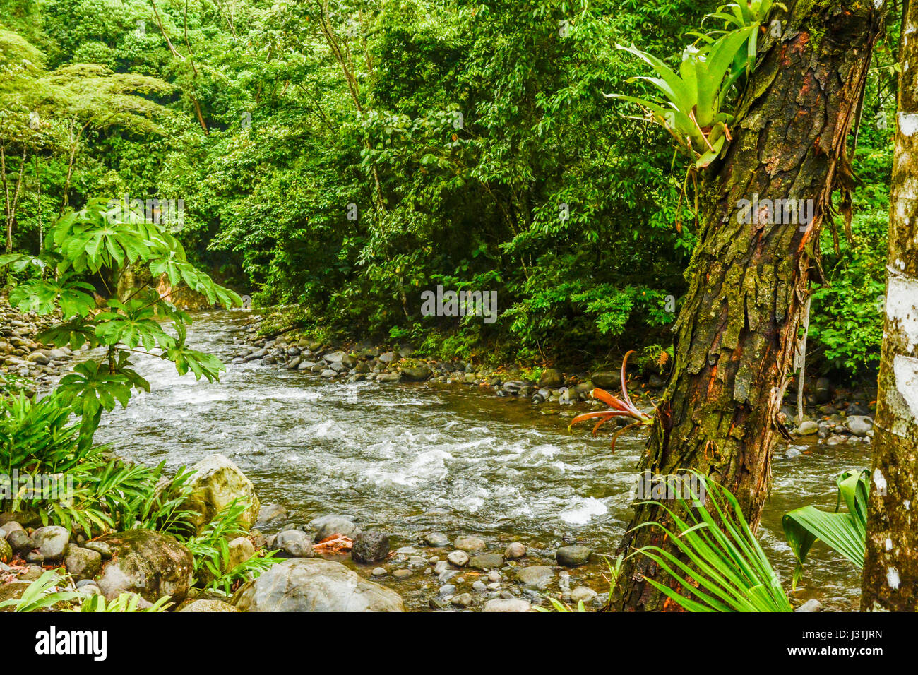 HDR-Foto eines Baches im Regenwald in Costa Rica Stockfoto