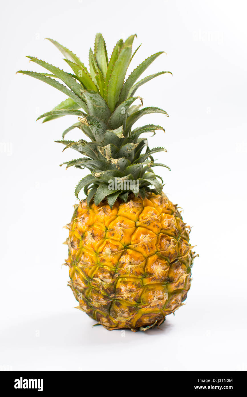 Frische Ananas Frucht isoliert auf weißem Hintergrund Stockfoto