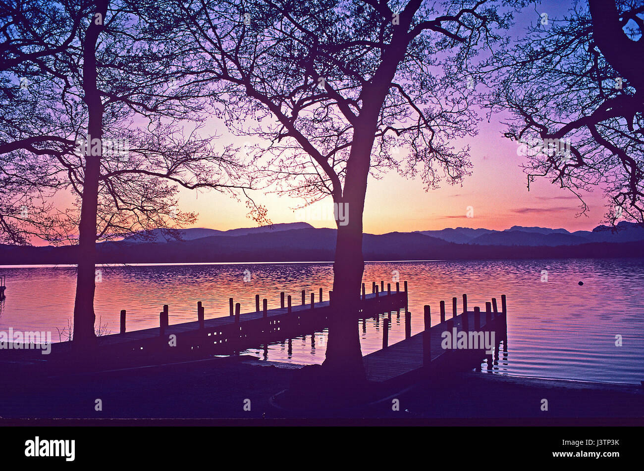 Still und friedlich Sonnenuntergang durch die Bäume in der Silhouette über Lake Windermere im Lake District Stockfoto