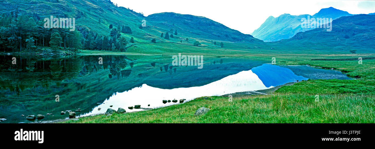 Ein noch stillen Morgen um die kultigen Blea Tarn in der Lake District Cumbria mit den Hügeln und Langdale Pikes im Hintergrund Stockfoto