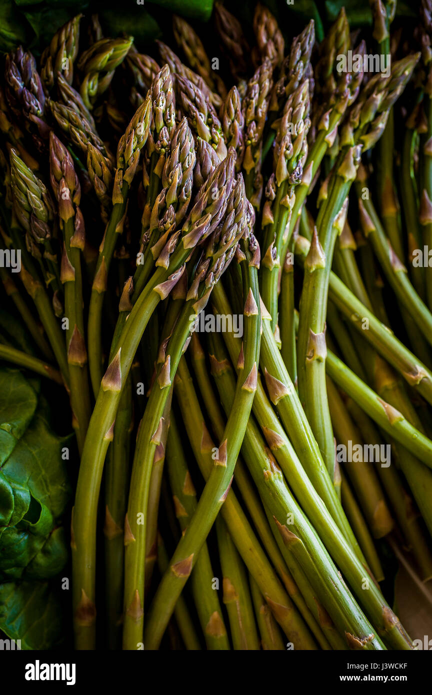 Spargel Spargel Officinalis Essen essbar Ausschreibung Frühling Gemüse Delikatesse Spargel schießt nahrhafte Vorspeise Beilage Stockfoto