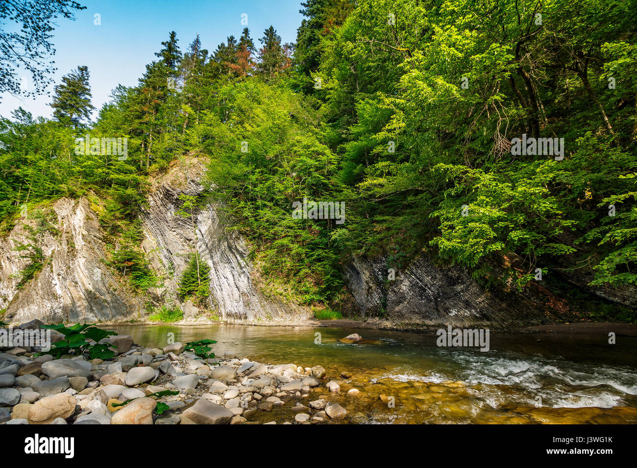 Landschaft mit Bäumen auf einer Klippe Aminosäureaustausch Ufer eines klaren Flusses. schönen Sommer-Wetter mit blauem Himmel Stockfoto