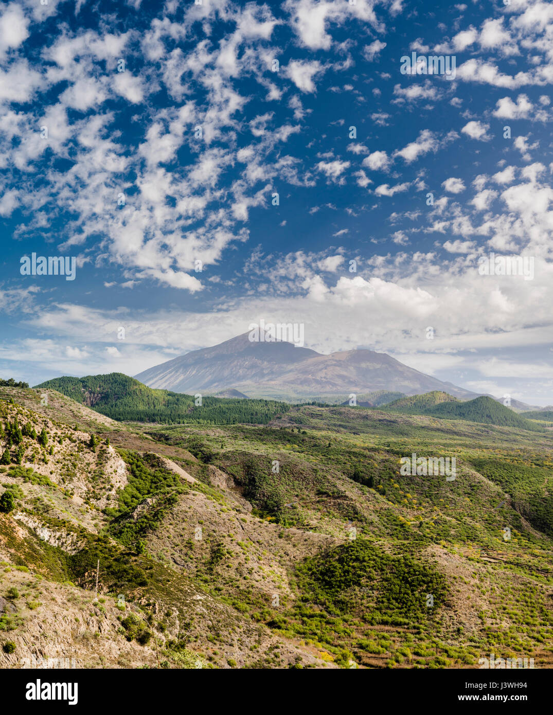 Blick auf den Teide-Vulkan von Puerto de Erjos, Teneriffa, mit spektakulären Makrelen-Wolkenformationen und zahlreichen jungen monogenetischen Vulkankegeln Stockfoto