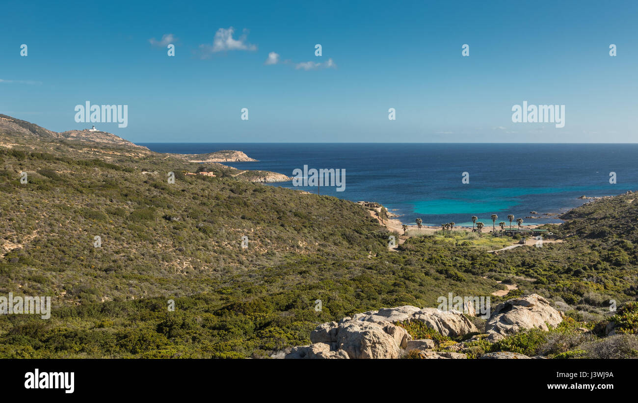 Ansicht der Macchia und die Küste von Revellata in der Nähe von Calvi an der Westküste von Korsika mit Blick auf Leuchtturm in Distanz und Türkis mediterrane s Stockfoto
