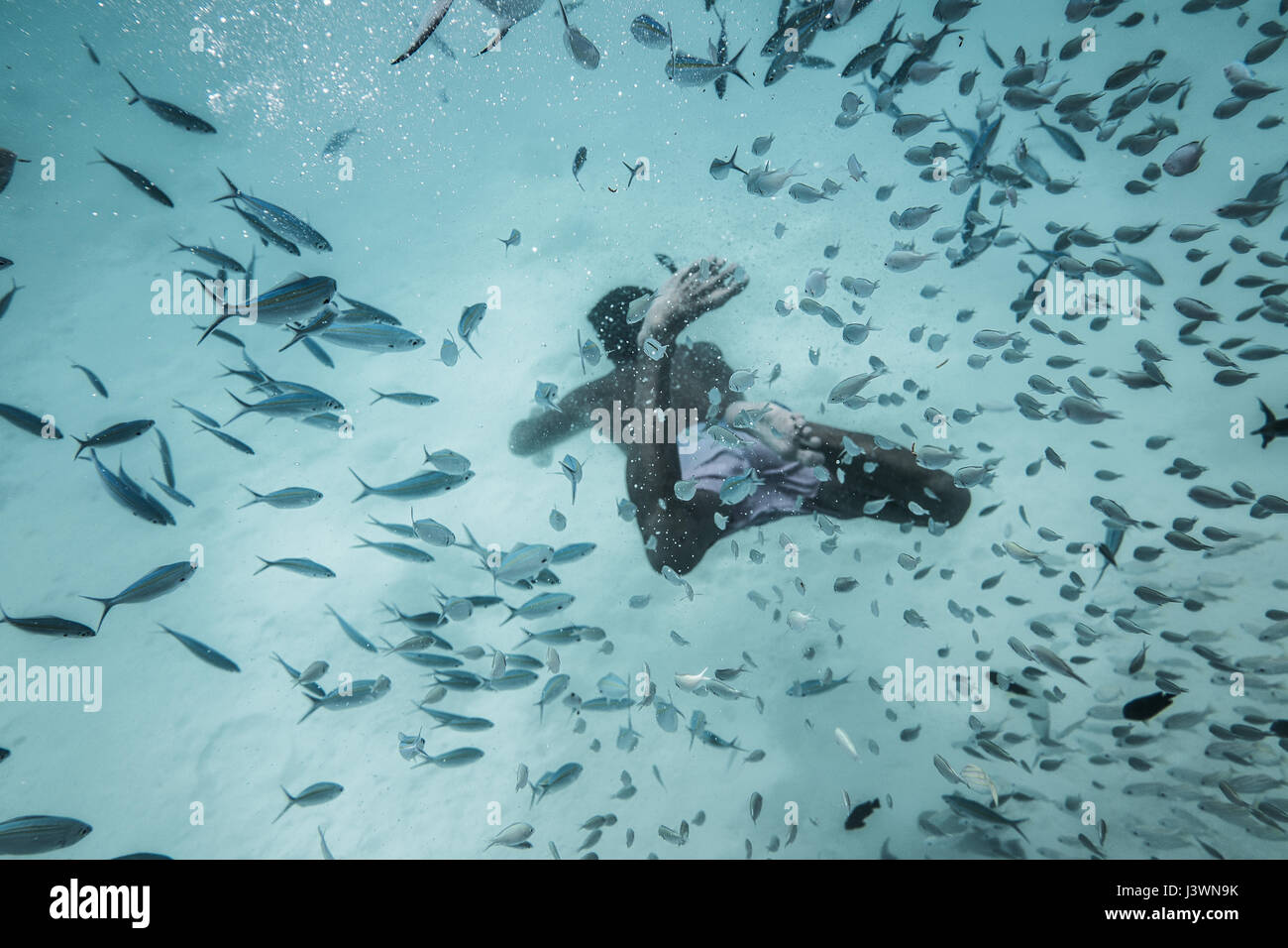 Mann ist das Tauchen unter den feeshes in einem tief blauen Wasser des Indischen Ozeans Stockfoto