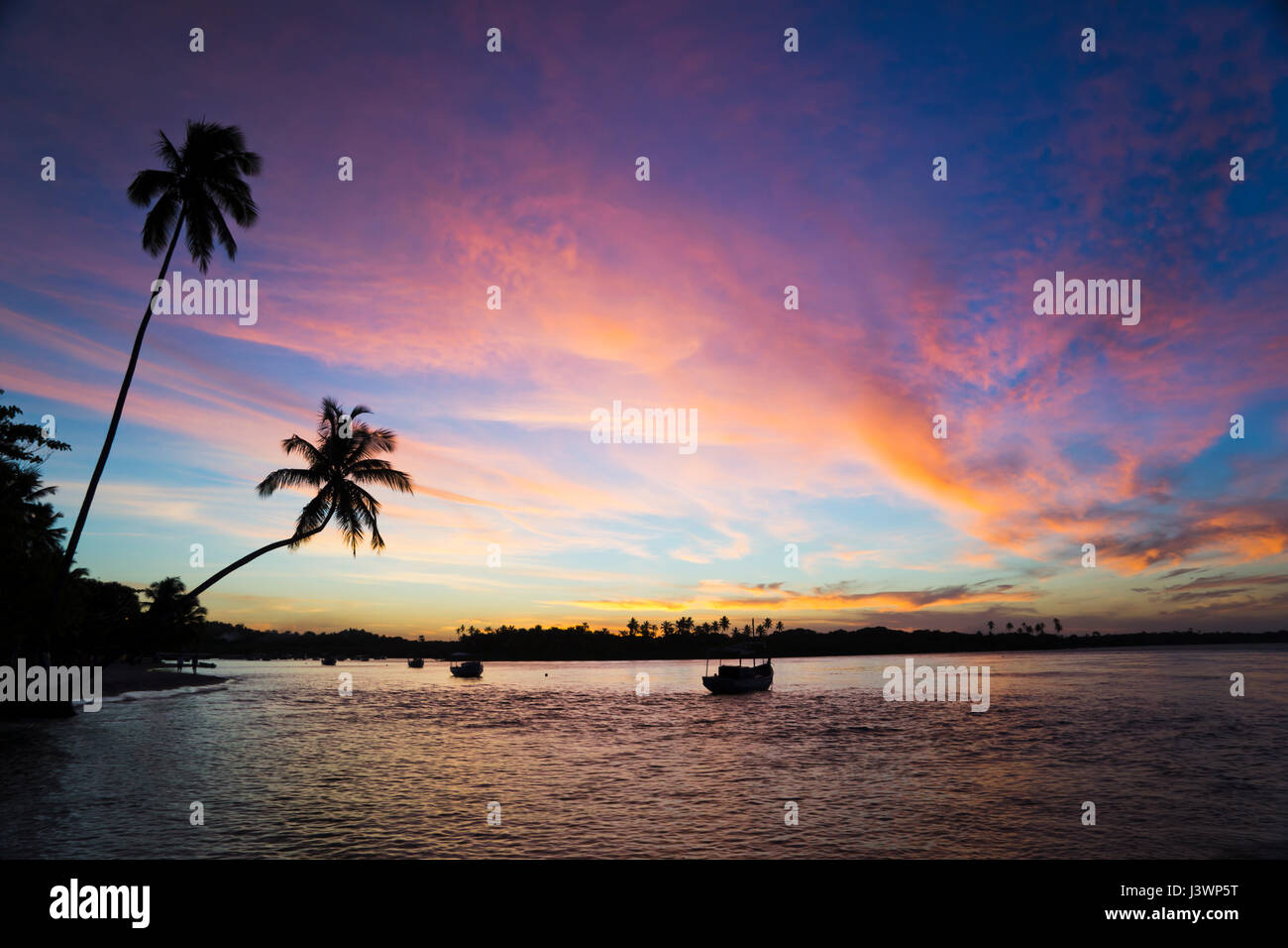 Paradies-Fluss-Sonnenuntergang mit tropischen Palmen Stockfoto