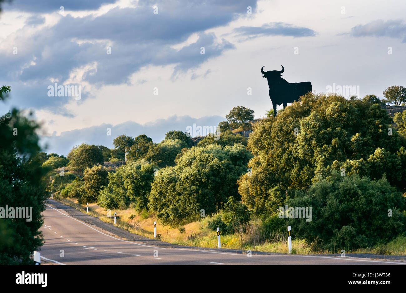 Osborne-Stier. schwarze Silhouette Bild eines Stiers in semi-Profil, das auf spanischen Straßen gesehen werden kann. Stockfoto