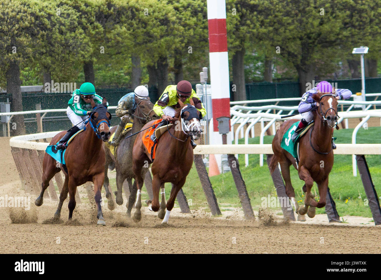 Belmont Park Racetrack NewYork Stockfoto