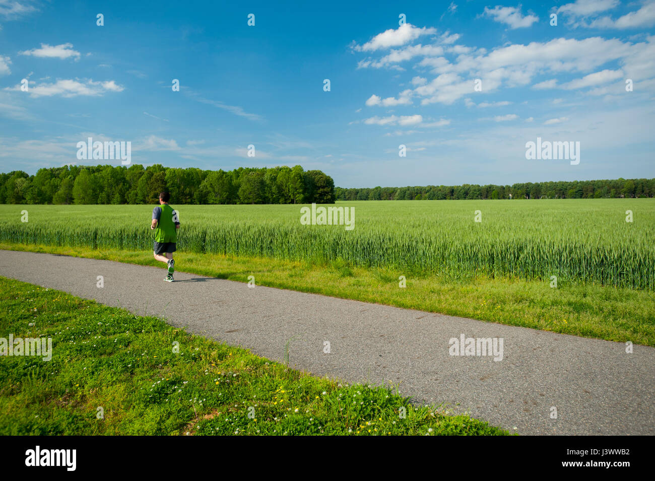 USA Virginia VA verläuft ein einsamer Läufer auf der Virginia-Capital-Trail in der Nähe von Jamestown Stockfoto