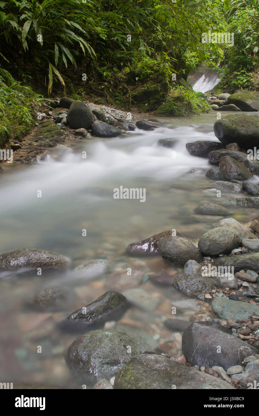 Üppige Bach mit Wasserfall im Tiefland Regenwald von Panama. Stockfoto