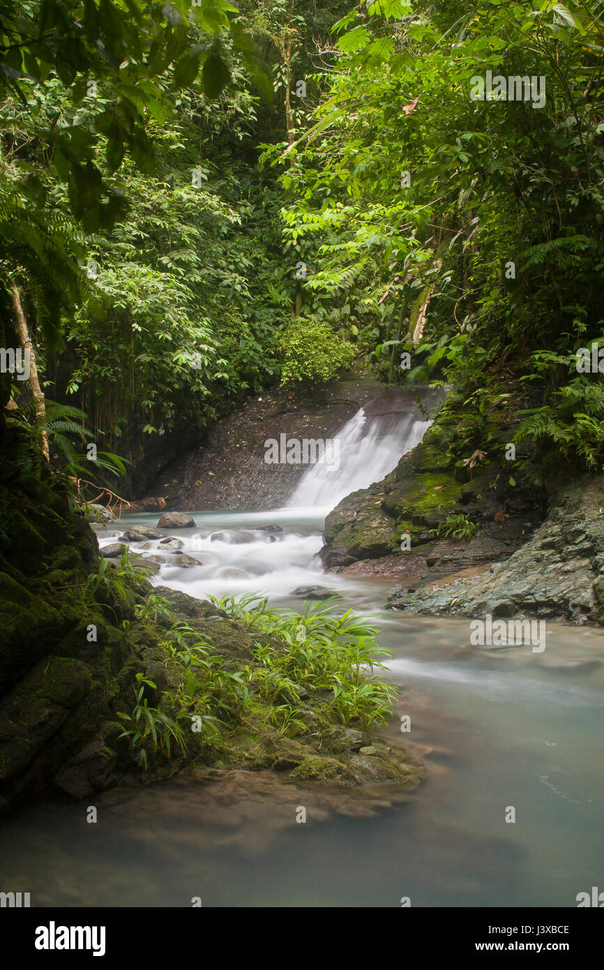 Üppige Bach mit Wasserfall im Tieflandregenwald von Panama. Stockfoto