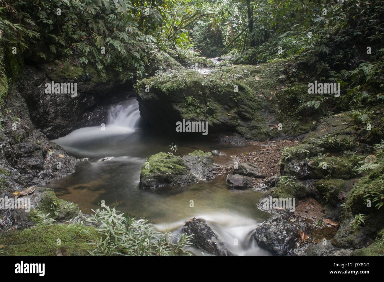 Üppige Bach und Wasserfall im Tiefland-Regenwald Dschungel von Costa Rica (Corcovado National Park). Stockfoto