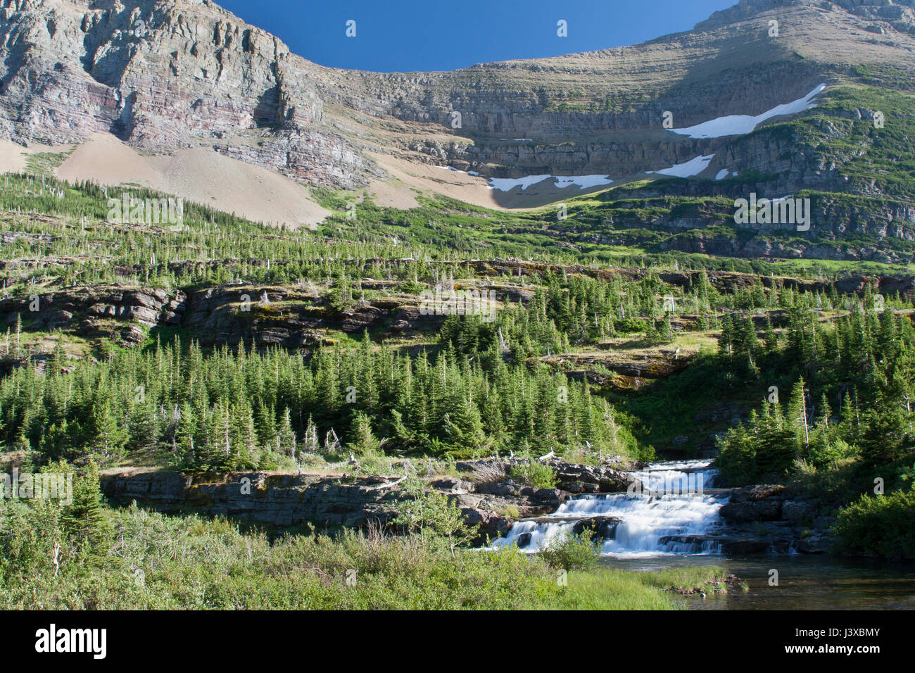 Ein Gebirgsbach, ausgeführt durch einen hoch-Höhe Wald im Glacier National Park, Montana, USA. Stockfoto
