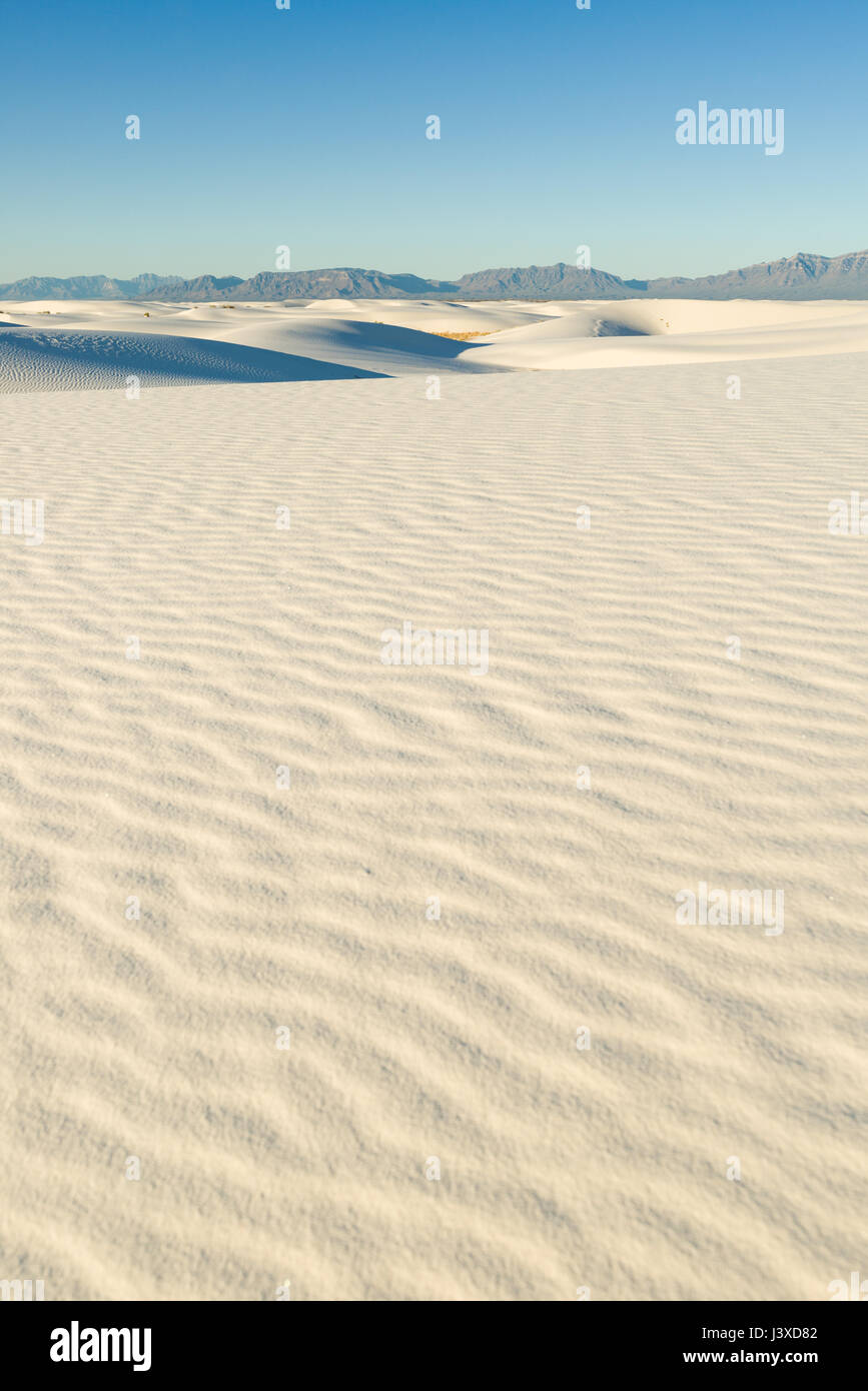 Weißen Sanddünen im frühen Morgenlicht, White Sands National Monument, New Mexico Stockfoto
