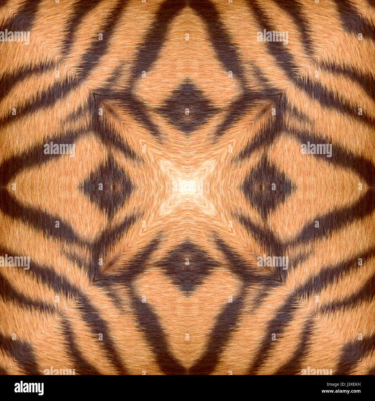 Tigerfell, nahtlose abstrakte Muster oder Hintergrund, natürliche Muster von Mutter Natur. Stockfoto