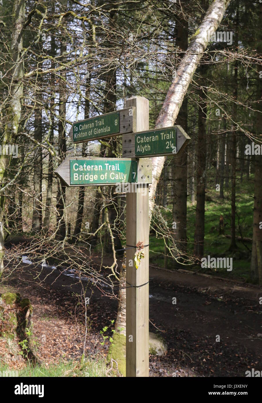 Anmelden Cateran Trail in der Nähe von alyth Schottland april 2017 Stockfoto