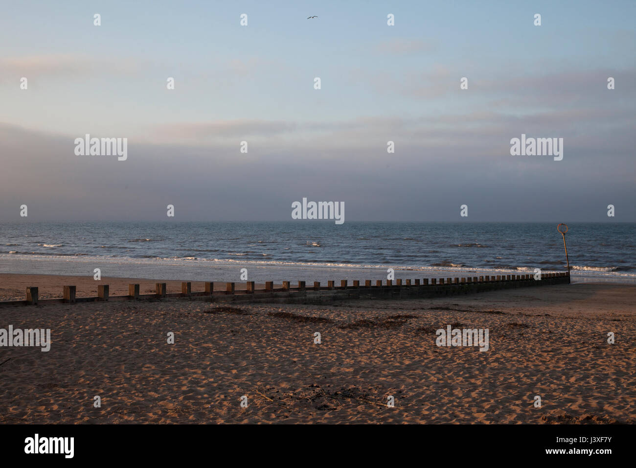 Portobello Beach an einem schönen sonnigen Tag in Edinburgh, die Hauptstadt von Schottland, UK, Großbritannien. Stockfoto