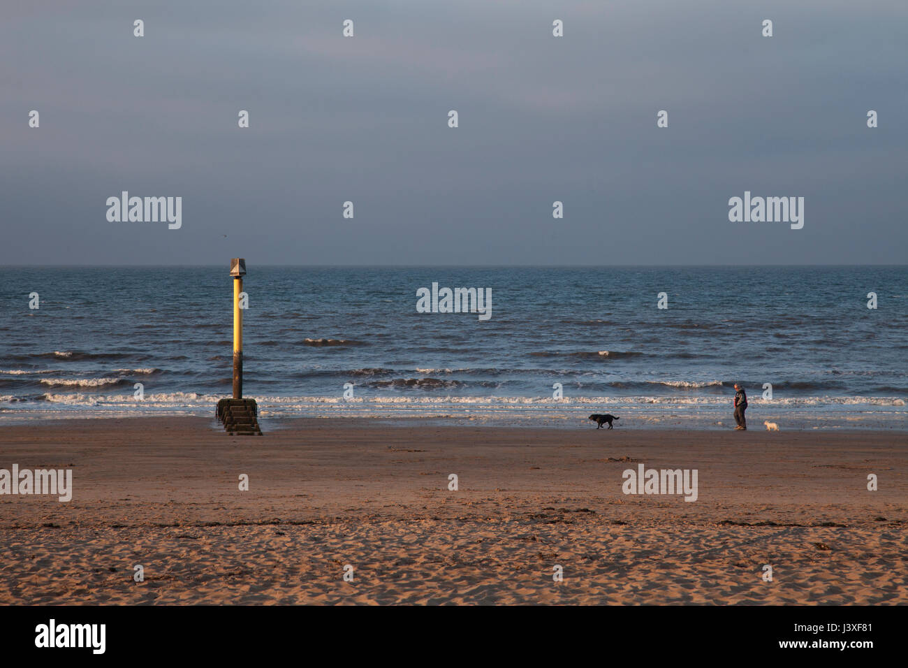 Peopl ihren Hund spazieren gehen, am Strand von Portobello in Edinburgh, Schottland, Großbritannien. Sonnenuntergang über den Portobello Beach an einem schönen sonnigen Tag in Edinburgh, th Stockfoto