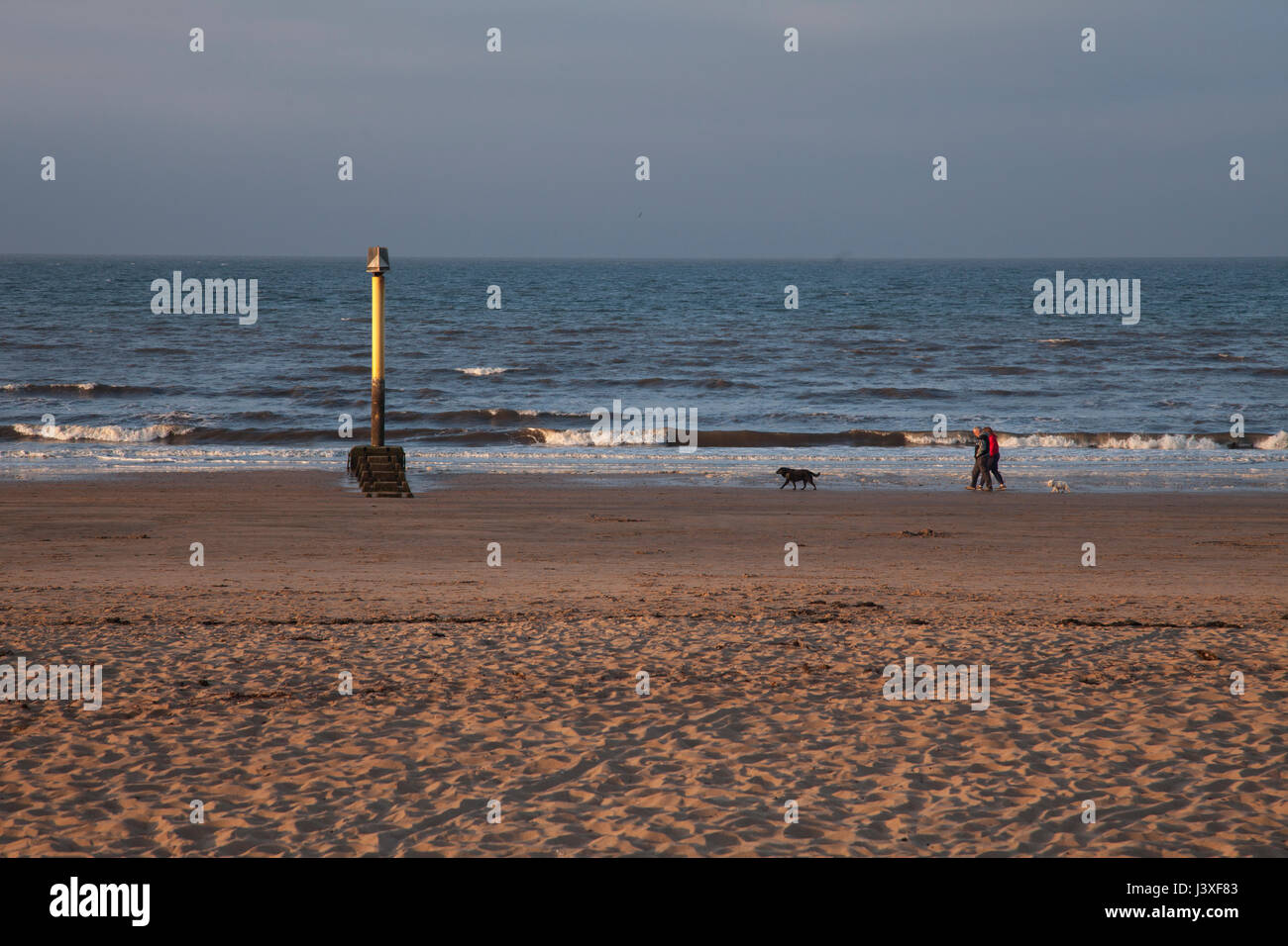 Menschen zu Fuß ihren Hund am Strand von Portobello in Edinburgh, Schottland, Großbritannien. Sonnenuntergang über den Portobello Beach an einem schönen sonnigen Tag in Edinburgh, t Stockfoto