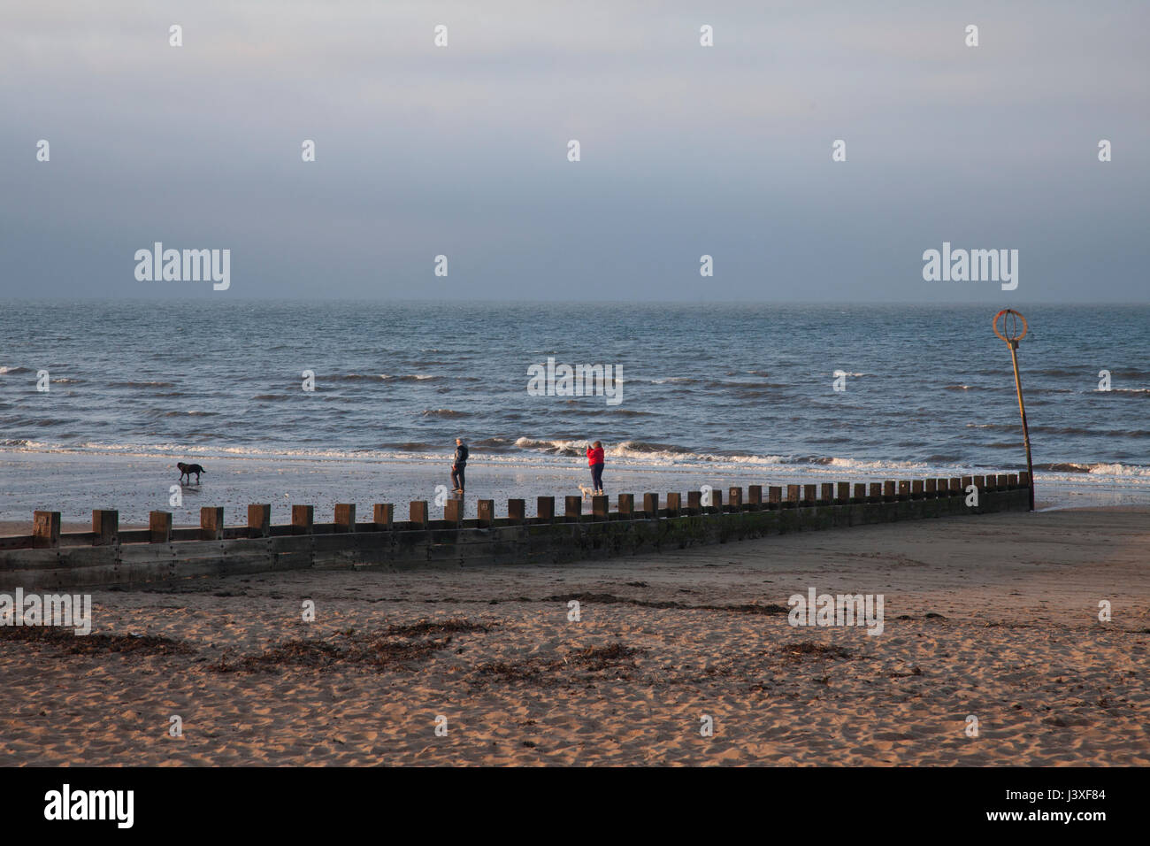 Peopl ihren Hund spazieren gehen, am Strand von Portobello in Edinburgh, Schottland, Großbritannien. Sonnenuntergang über den Portobello Beach an einem schönen sonnigen Tag in Edinburgh, th Stockfoto