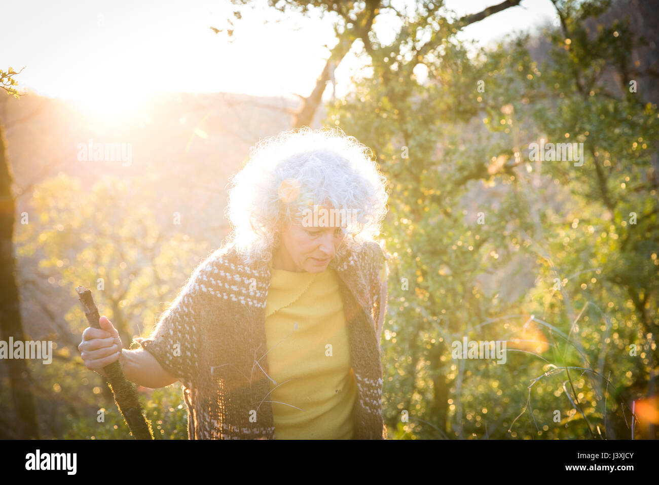 Reife Frau wandern durch die Wälder scheuern bei Sonnenuntergang Stockfoto