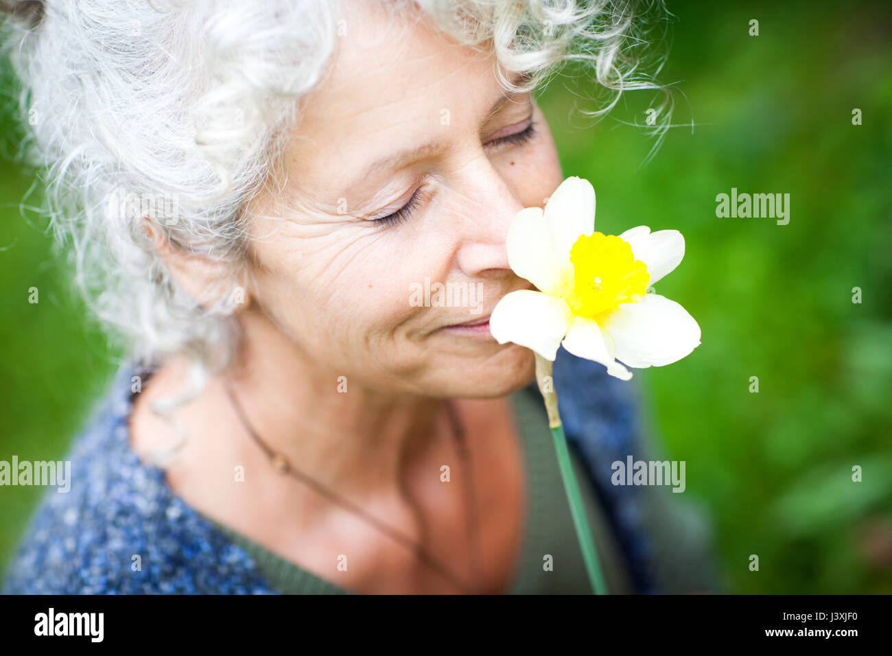 Reife Frau Gärtner riechen gelbe Narzisse Stockfoto