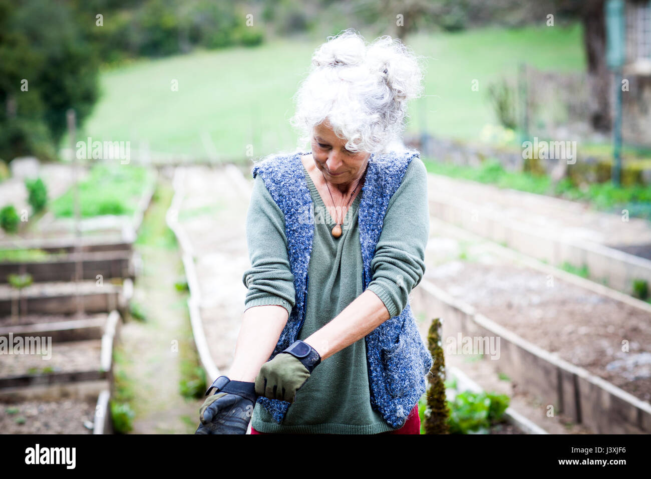 Reife weibliche Gärtner setzen auf Gartenhandschuhe Stockfoto