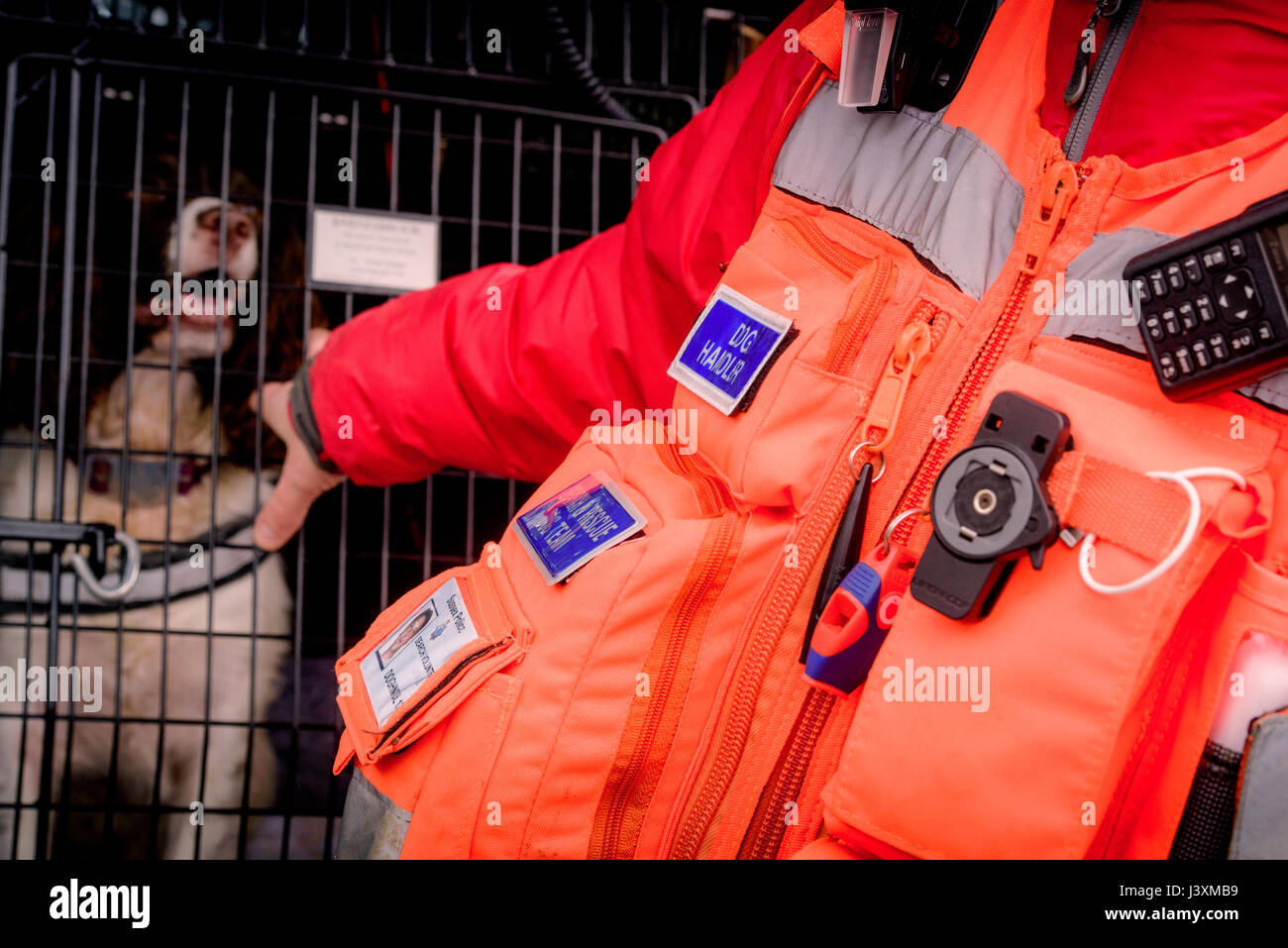 Das Team von Freiwilligen sind im Tiefland Such- und Rettungshunde in Aktion in West Sussex. Stockfoto