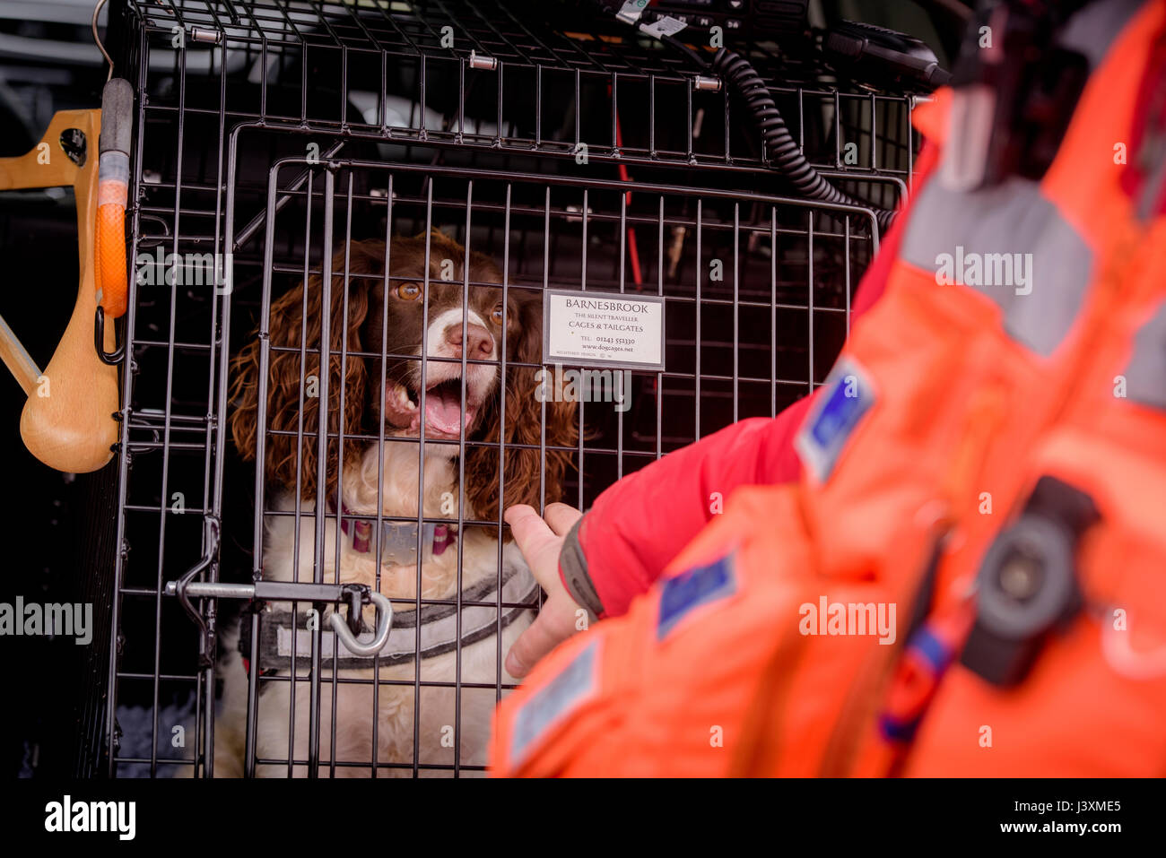 Das Team von Freiwilligen sind im Tiefland Such- und Rettungshunde in Aktion in West Sussex. Stockfoto