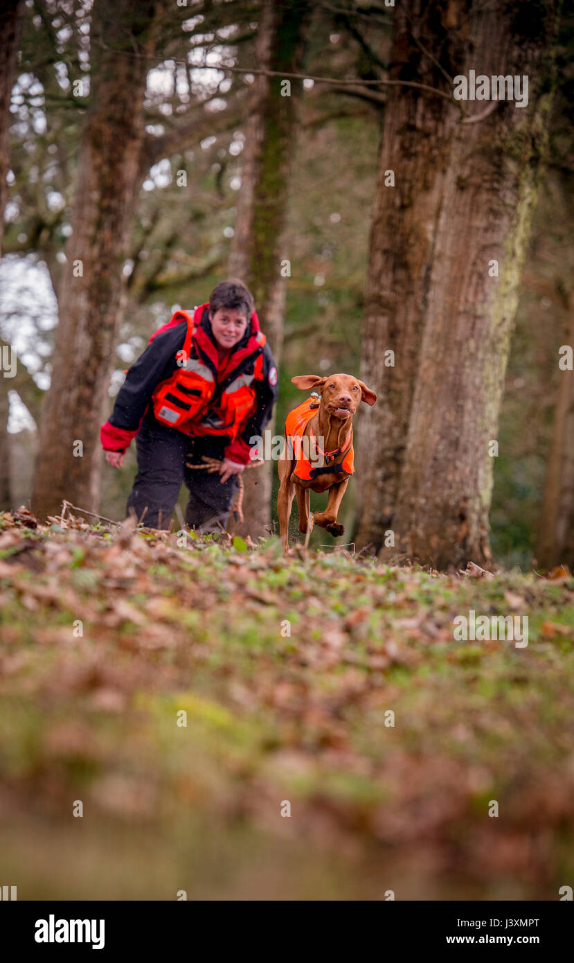 Das Team von Freiwilligen sind im Tiefland Such- und Rettungshunde in Aktion in West Sussex. Stockfoto