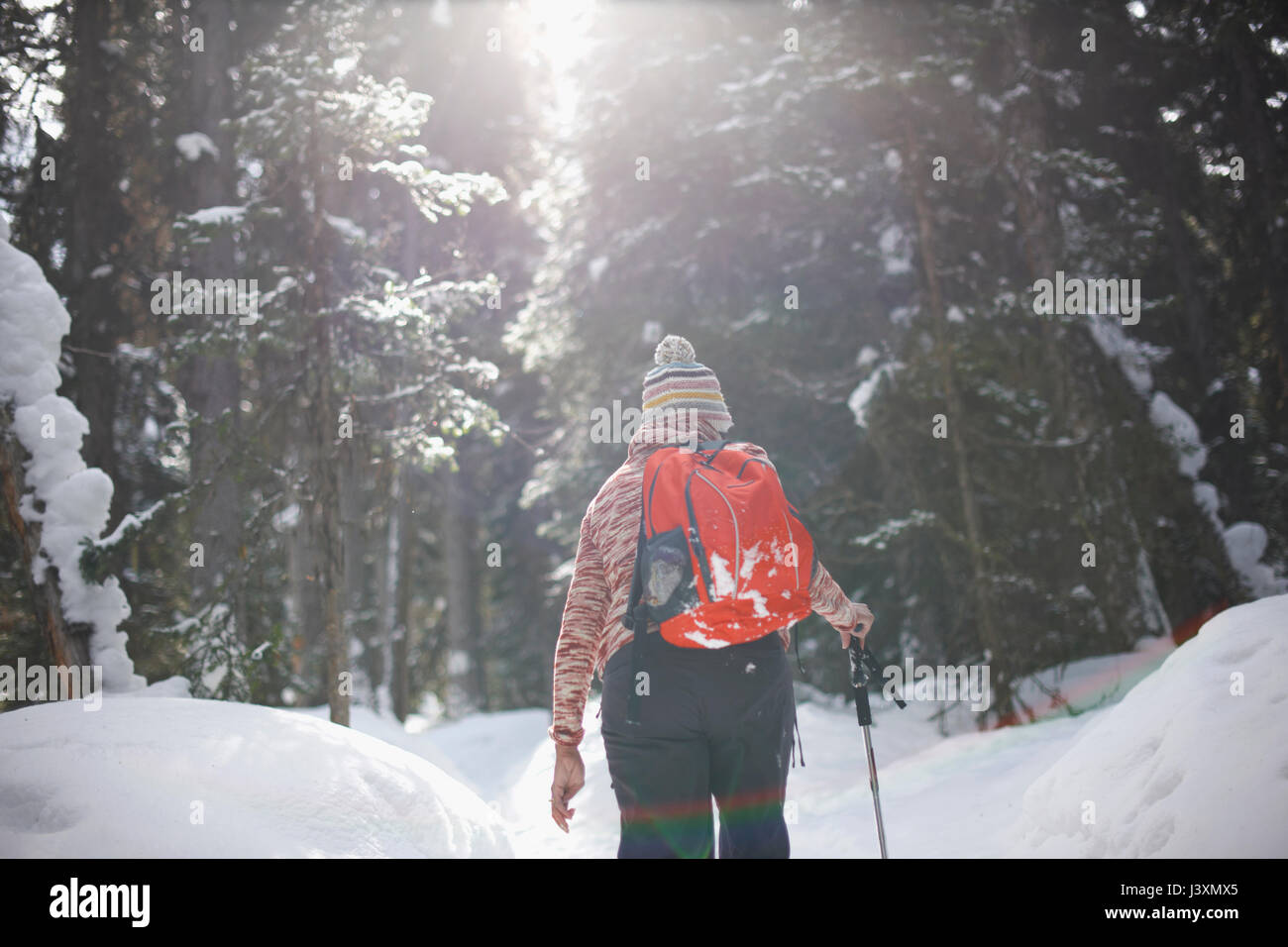 Wanderer Wandern im verschneiten Wald, Lake Louise, Kanada Stockfoto
