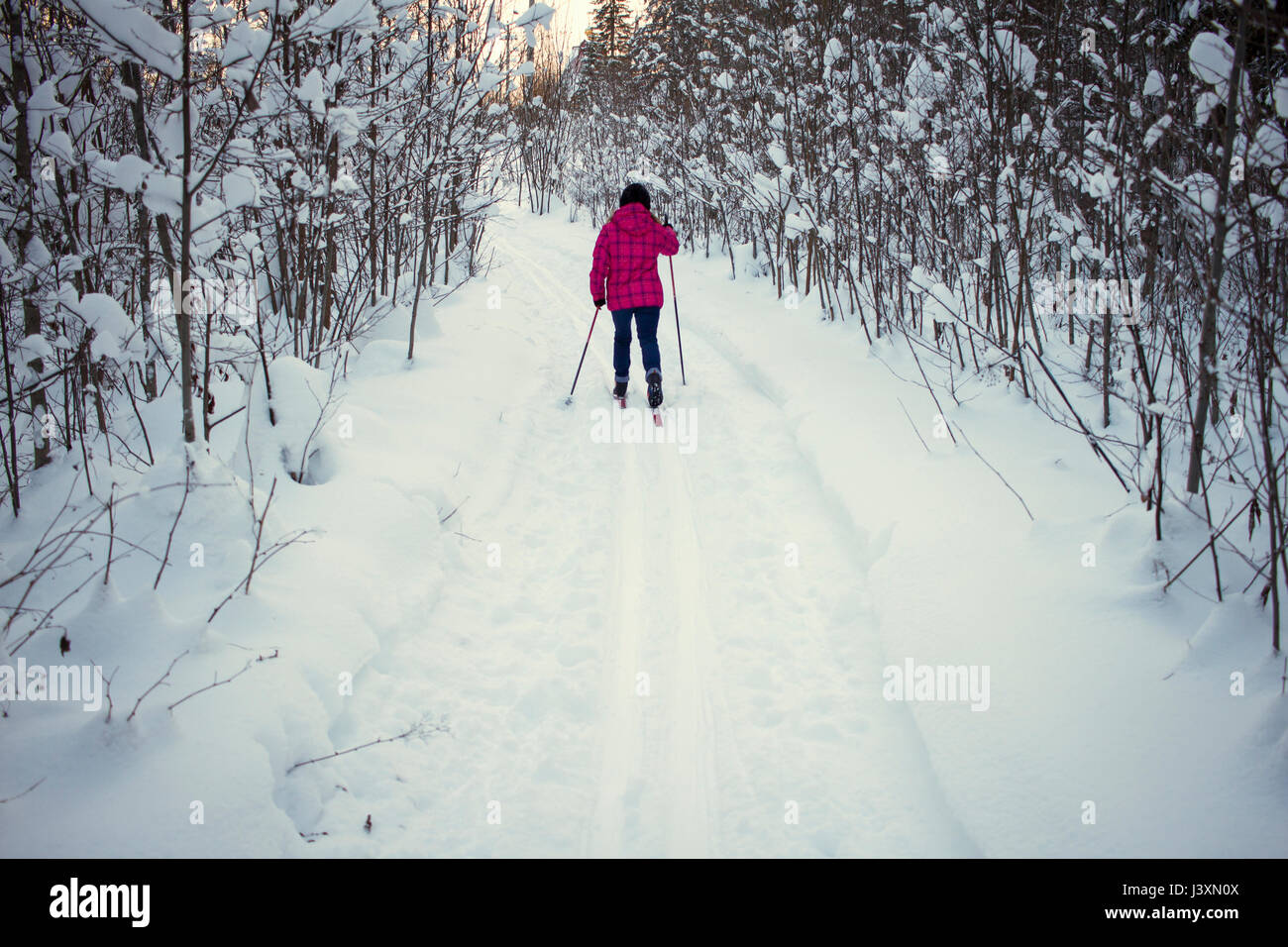 Junges Mädchen, Langlaufen, Rückansicht, Chusovo, Russland Stockfoto
