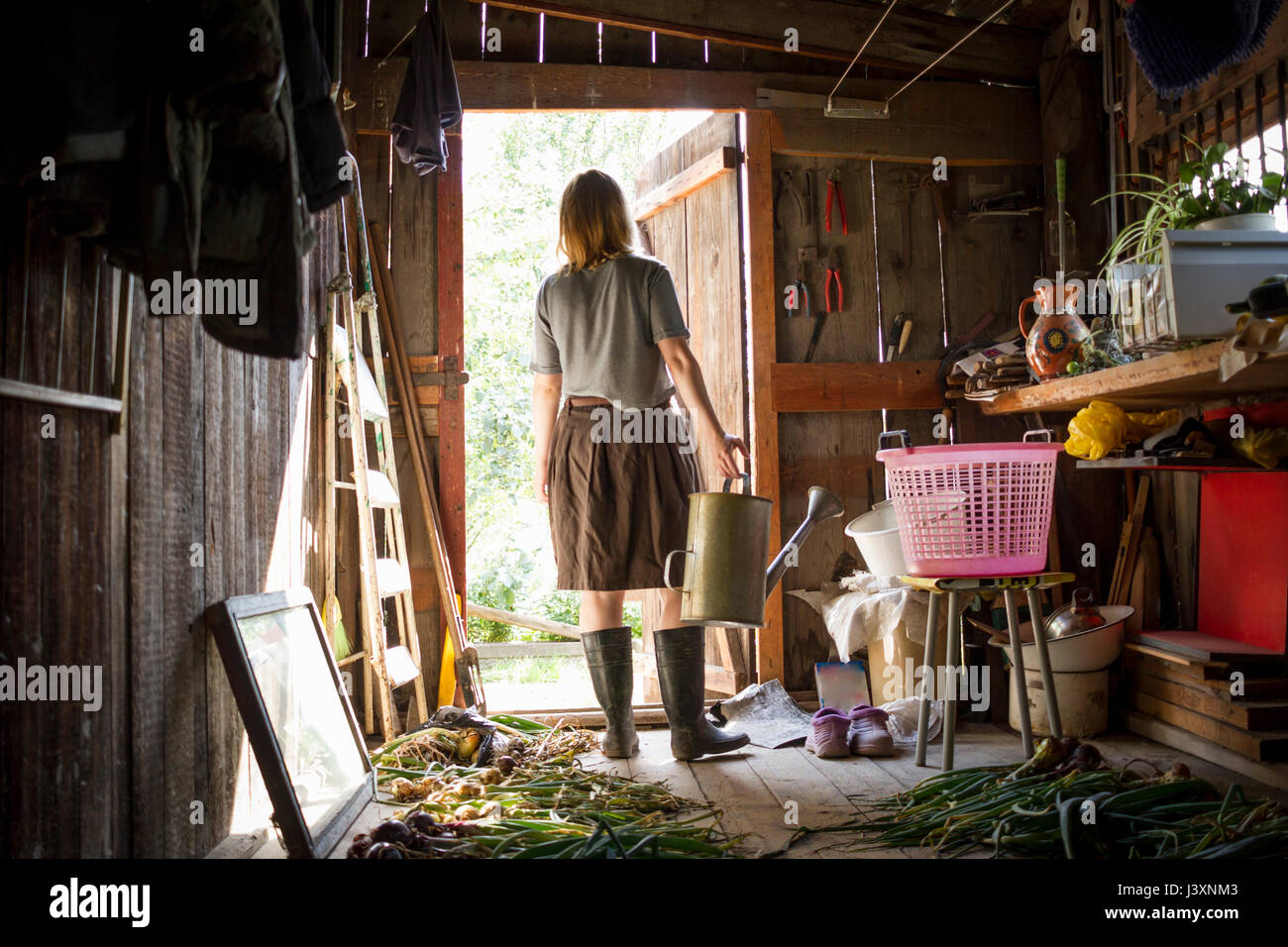 Junge Frau, die Gießkanne in Gartenhaus Stockfoto