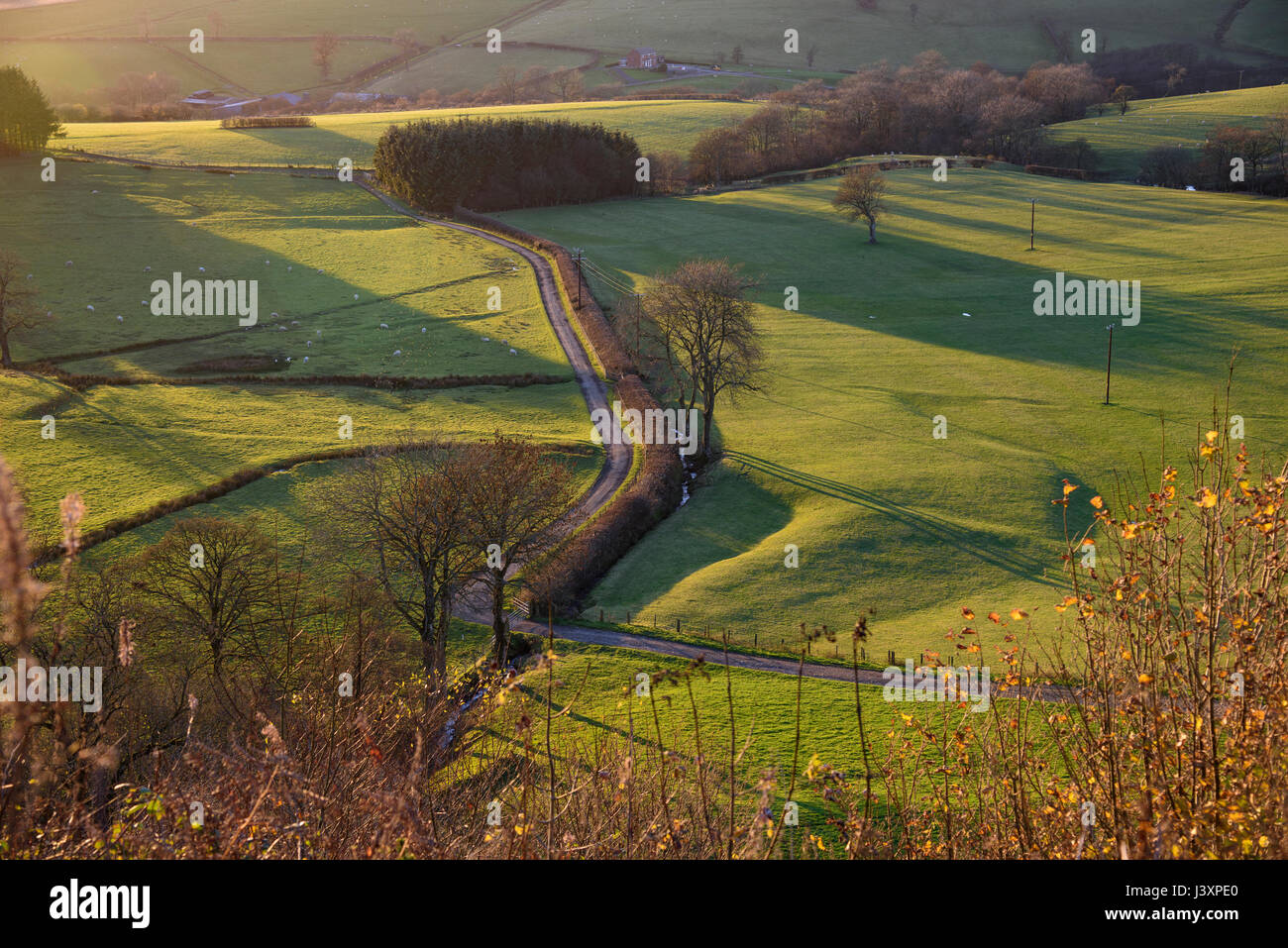 Landschaft und Farm Road in der Nähe Llandrindod Wells, Rhayader, Powys, Wales. Stockfoto