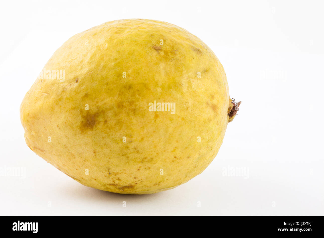 Guave (Guave Guajava) in weißen Hintergrund isoliert Stockfoto