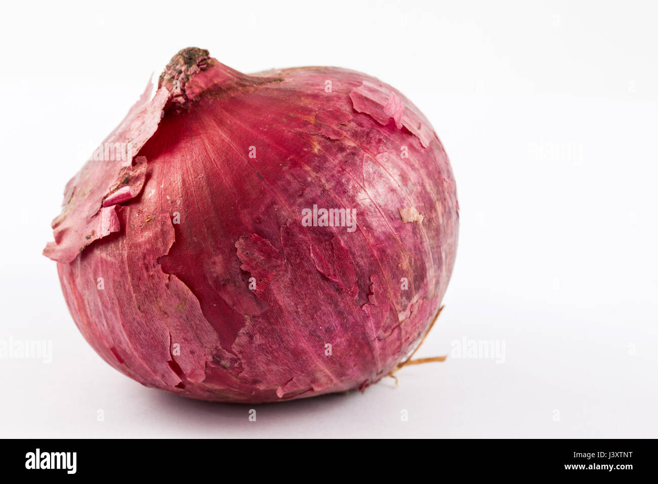 Rote Birne Zwiebel (Allium Cepa) in weißen Hintergrund isoliert Stockfoto