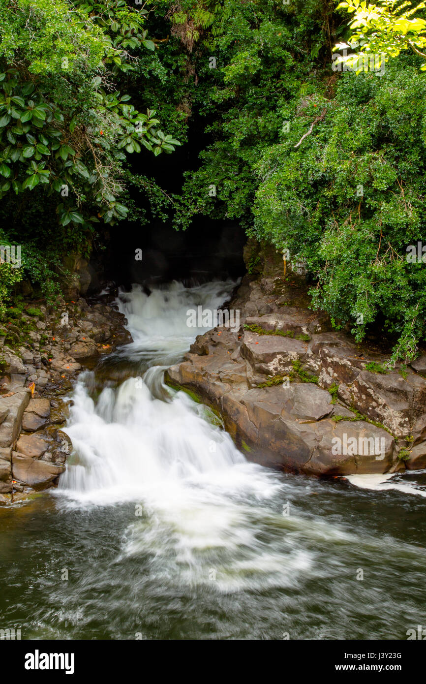 Kleiner Wasserfall in den Akaka Falls State Park auf Big Island, Hawaii, USA. Stockfoto