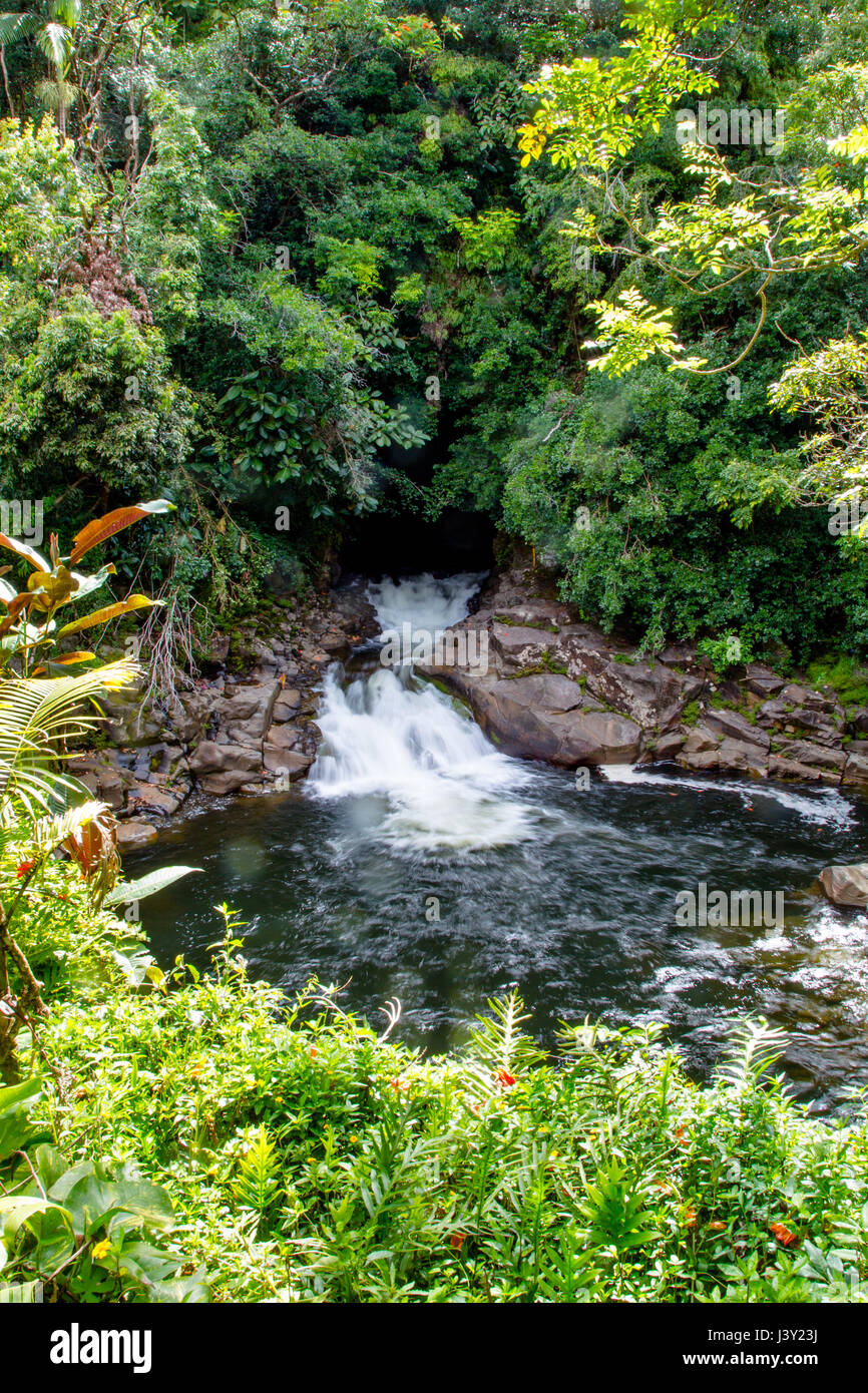 Kleiner Wasserfall in den Akaka Falls State Park auf Big Island, Hawaii, USA. Stockfoto