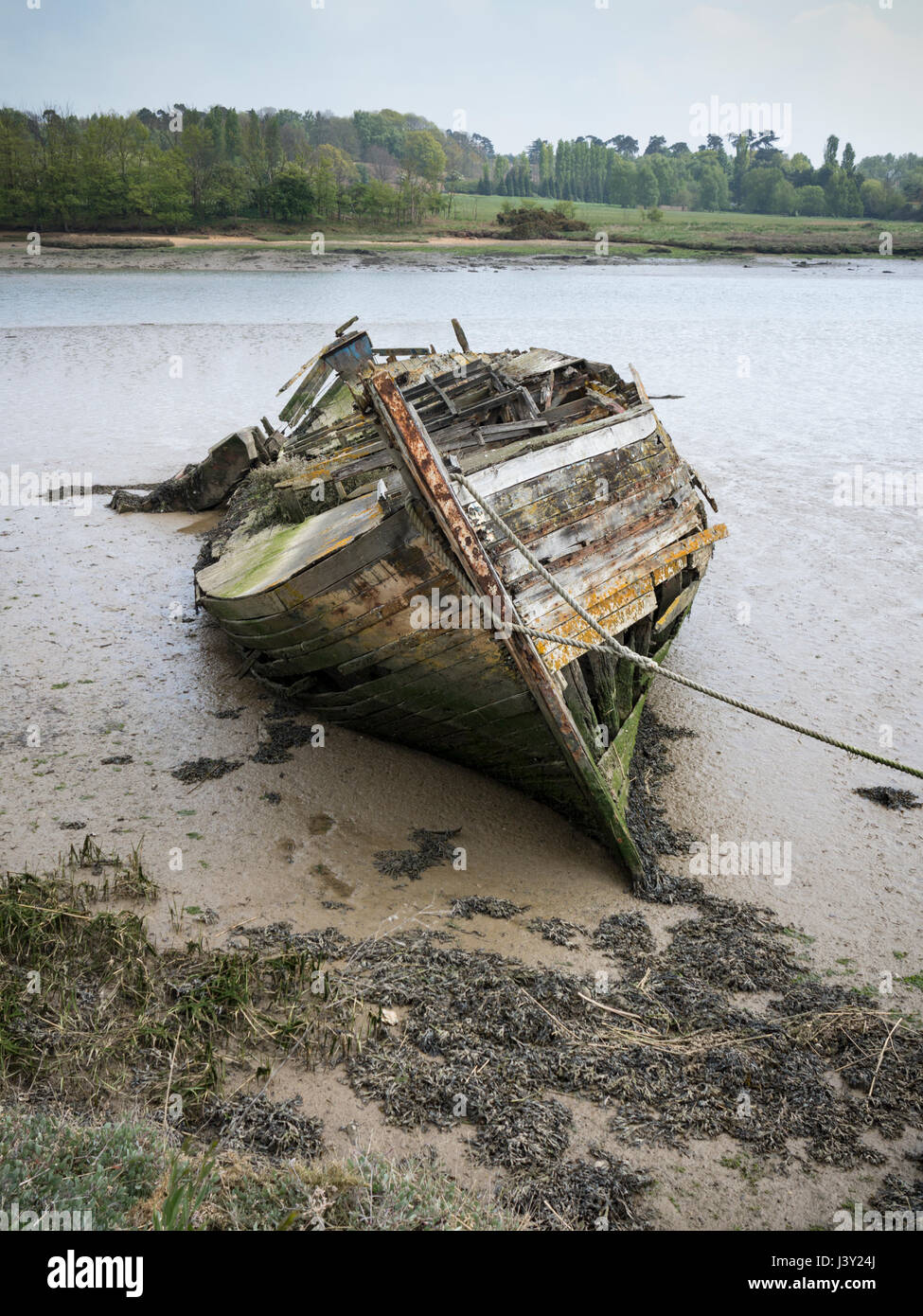 Verlassener und Fäulnis Holzboot haben in Schlamm bei Ebbe auf dem River Deben in Woodbridge Suffolk England versenkt. Stockfoto