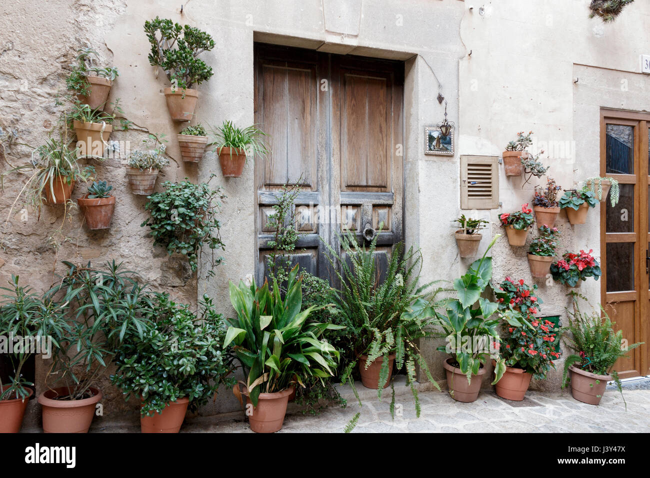 an der Wand befestigte Töpfe von Zimmerpflanzen n Valdemossa, Mallorca, Spanien. Stockfoto